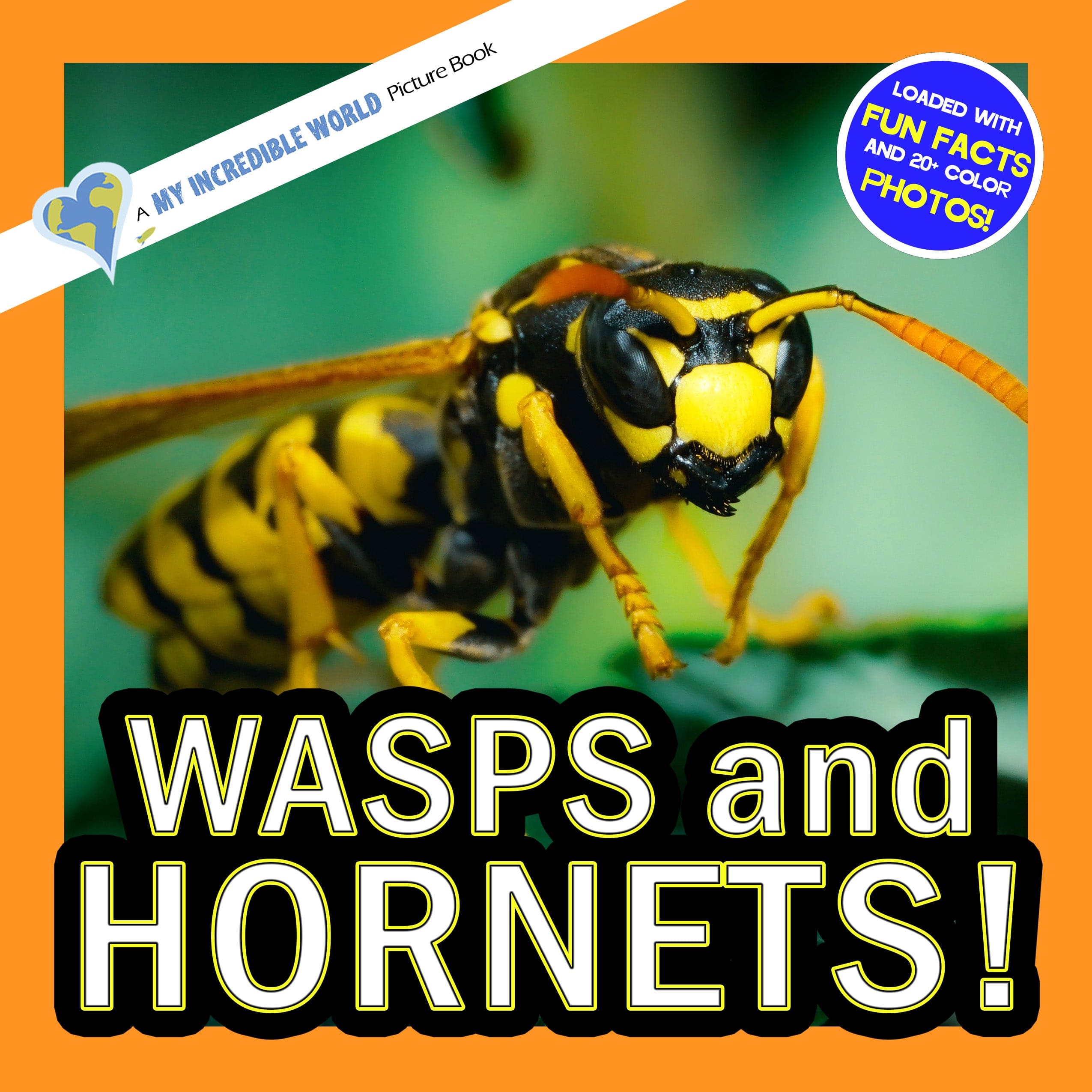 Wasps and Hornets! A My Incredible World Picture Book for Children